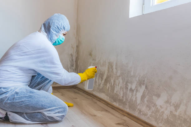 Crawl Space Mold Removal in Hinton, WV