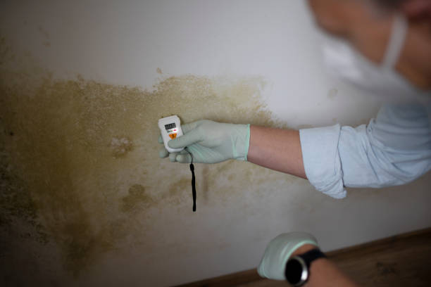 Best Water Damage Restoration  in Hinton, WV
