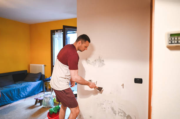 Best Mold Remediation  in Hinton, WV
